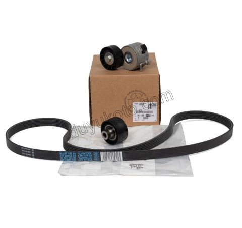 Alternatör V Kayış Kiti (Gergi Kütüklü) 1.4HDİ/1.6HDİ Euro4