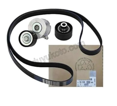 Alternatör V Kayış Kiti (Gergi Kütüklü) 1.6HDİ Euro4
