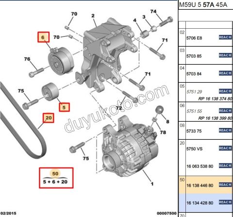 Alternatör V Kayış Kiti (Gergi Kütüklü) DW10 8V