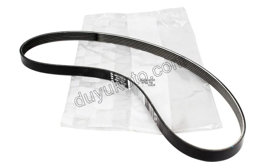 Alternatör V Kayışı 6PK1244 2.0HDİ 16V 163HP