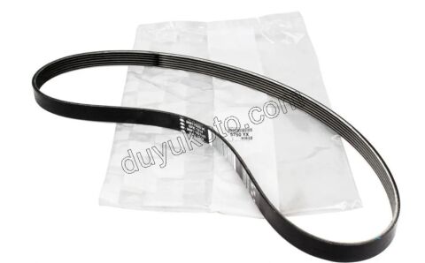 Alternatör V Kayışı 6PK1244 2.0HDİ 16V 163HP