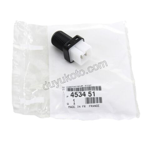 MUSUR FREN PRT1 P307 P406