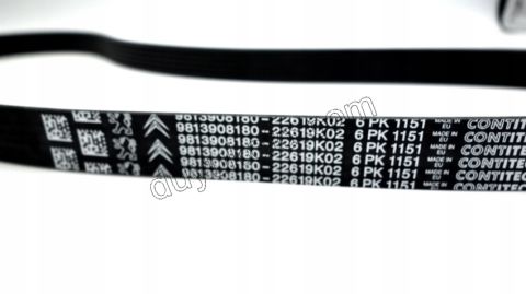 Alternatör V Kayış Kiti (Gergi Kütüklü) 1.5HDİ Euro6