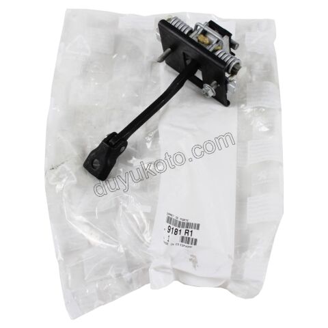 Ön Kapı Gergisi C42 DS41 2010>