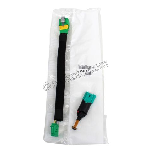 MUSUR FREN + TESISAT P407 TEK