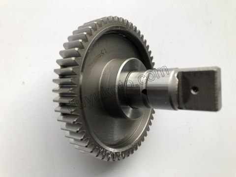 Mazot Pompa Dişlisi   W10FUE DW12RU 54 DIS