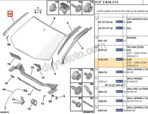 CITA ON CAM YAN R P5081