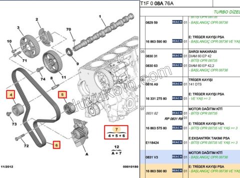 Eksantrik/Triger Kayış Seti DW10 8V