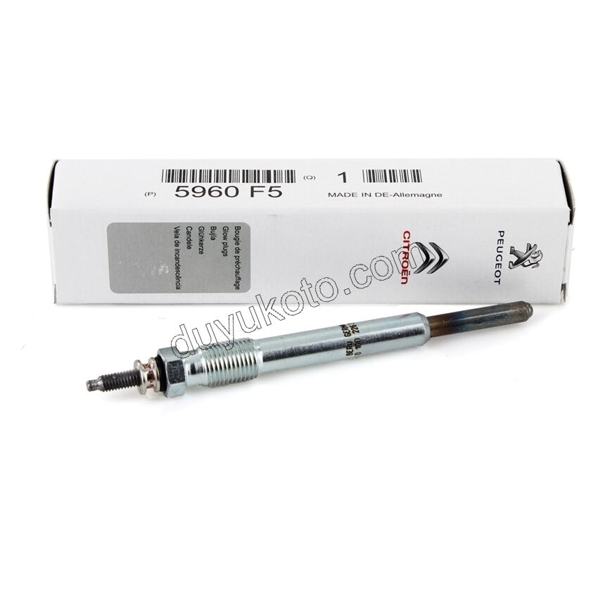 KIZDIRMA BUJI DW10 8V