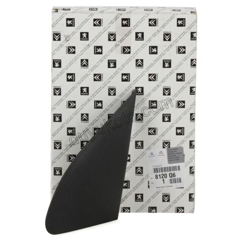 Ön Çamurluk Sol Üst Üçgen Kapak P107 C1