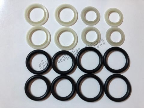 Emme Manifold Contası (Oringi) Takım 1.6HDİ Euro4