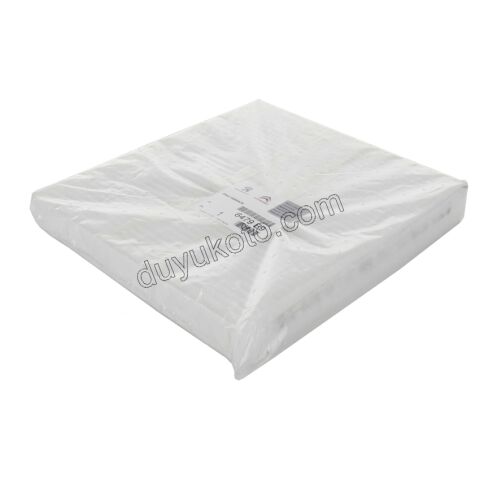 Polen Filtresi P4007 DW12