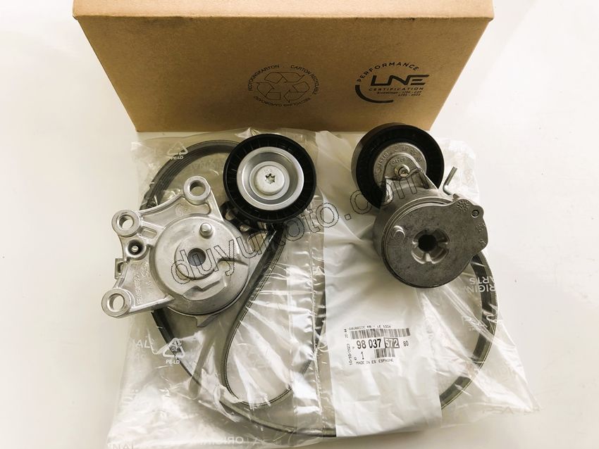 KIT KAYIS ALTER 1.6HDİ Euro6