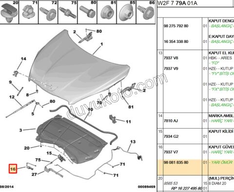 MANDAL MOTOR KAPUT EMNIYET P5081MQ C33
