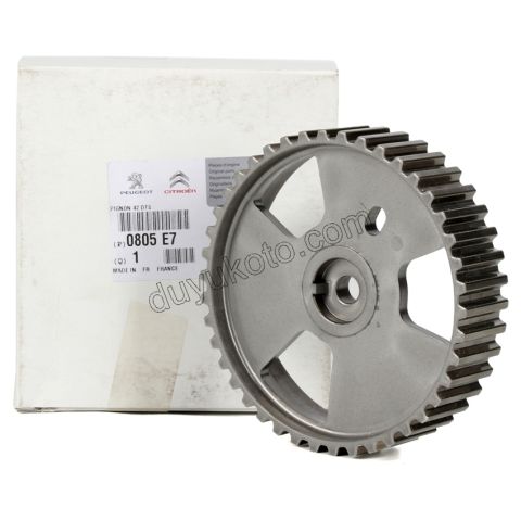 Eksantrik Mili Dişlisi DW10 8V 42 DIS