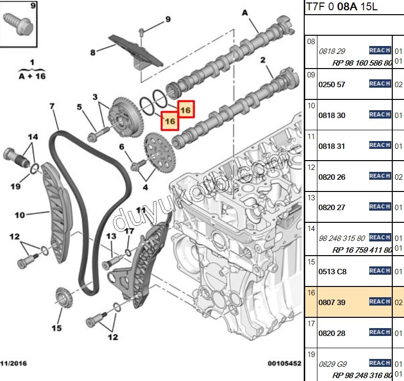 Eksantrik Mili Oring Contası