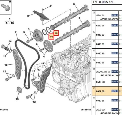 Eksantrik Mili Oring Contası