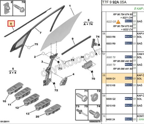 Ön Kapı Camı Sol Dış Sıyırıcı Fitil P3081