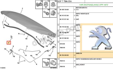 ARMA ASLAN ON PANJUR P301 P301MQ