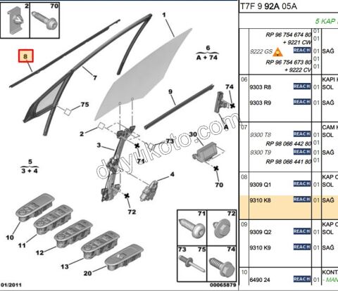 Ön Kapı Camı Sağ Dış Sıyırıcı Fitil P3081