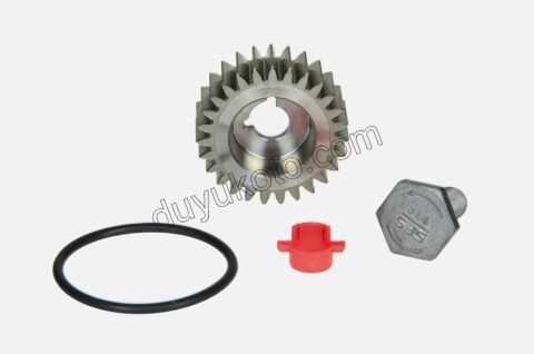 DISLI TK MAZOT POMPA DW10FUE DW12RU