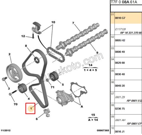 Eksantrik/Triger Kayışı 1.6HDİ Euro4