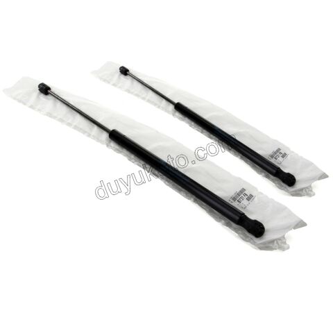 Bagaj Kapak Amortisörü P307SW