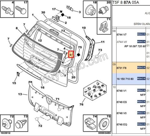 Bagaj Kapak Amortisörü P307SW