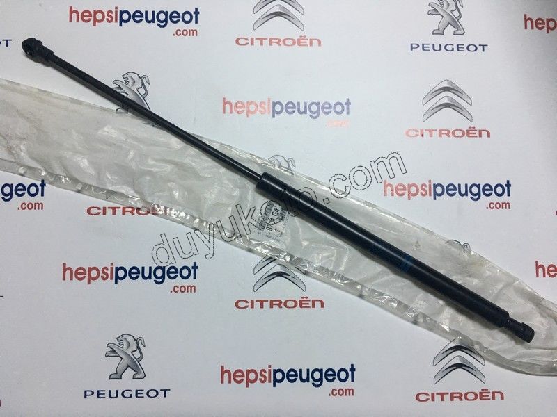 BAGAJ CAMI AMORTISOR P206SW