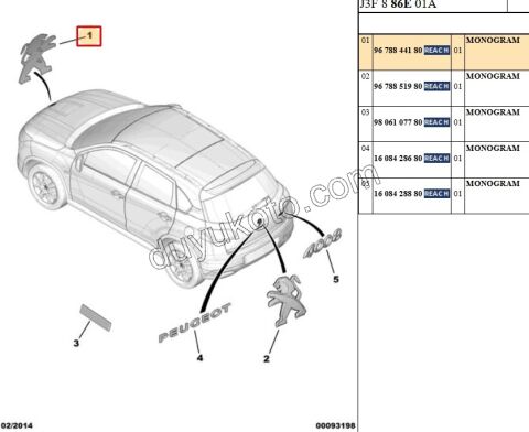 ARMA ASLAN 3 TIRNAK 9.5 CM