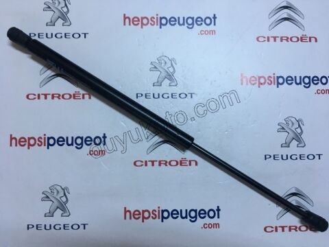 Bagaj Kapak Amortisörü C31