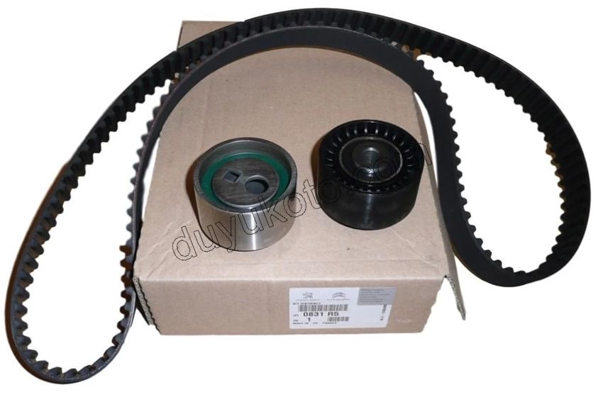 Eksantrik/Triger Kayış Seti XU10J4R