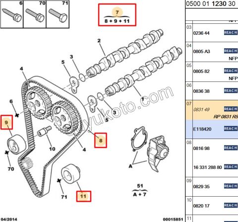 Eksantrik/Triger Kayış Seti XU10J4R