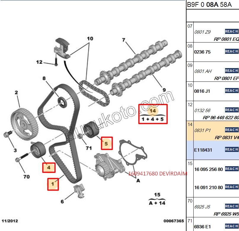 Eksantrik/Triger Kayış Seti 1.6HDİ Euro4