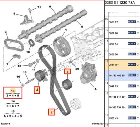 Eksantrik/Triger Kayış Seti 2.0HDİ 16V 163HP