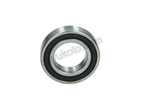 RULMAN AKS EKSEN R ASKI ALL MOD 6006.EEC3