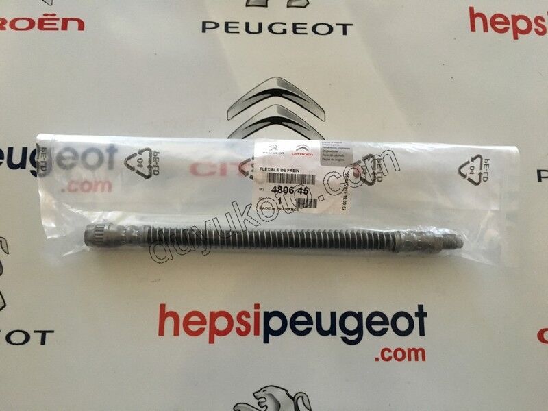 HORTUM FREN ARKA R/L P607 200MM