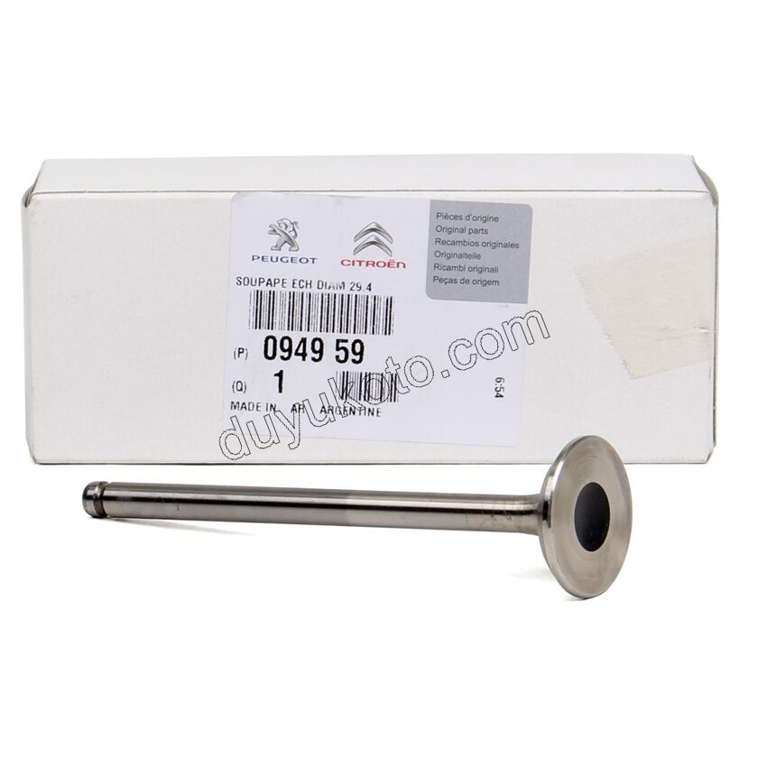 SUBAP EGZOZ X 4AD EM YM TU3JP