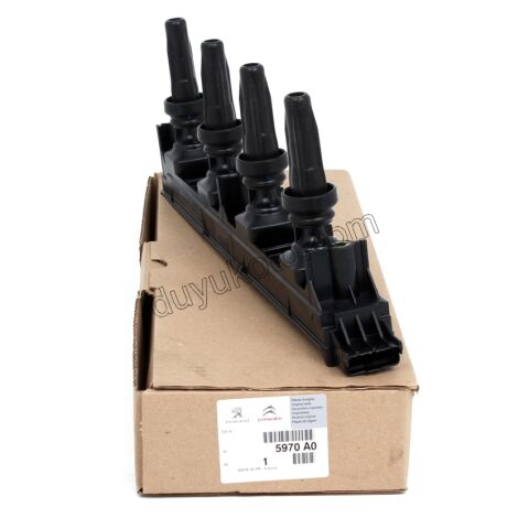 Ateşleme Bobini EW10A