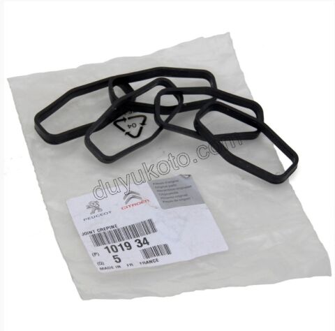 Yağ Pompa Sücgeci Contası 1.4HDİ/1.6HDİ Euro4 /Euro5