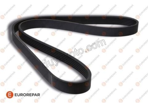 Alternatör V Kayışı