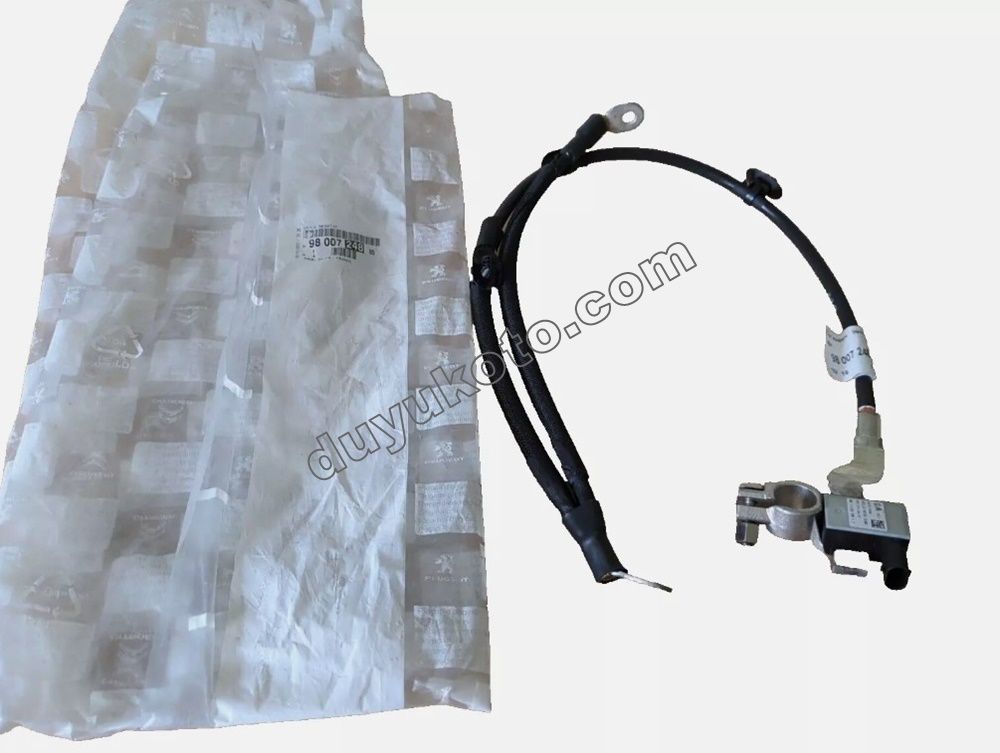 KUTUP BASI AKU - NEGATIF P207 C3 A51 DS3