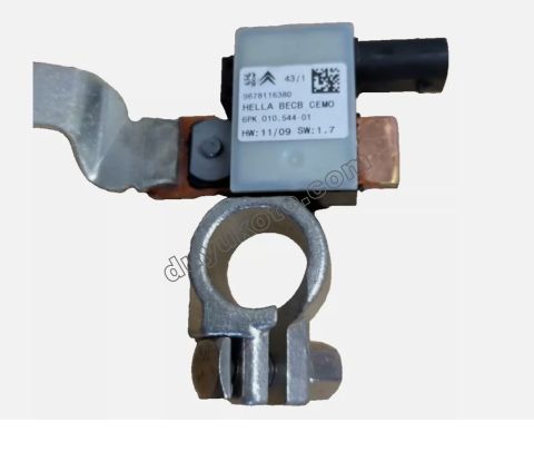 KUTUP BASI AKU - NEGATIF P207 C3 A51 DS3