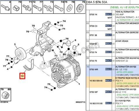 Alternatör V Kayışı 6PK1102 XUD AC YOK P306 P406