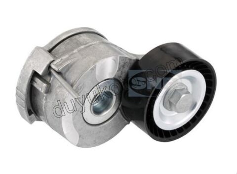 Alternatör (V Kayış) Gergi Rulmanı P407 P508 DW10C EURO5