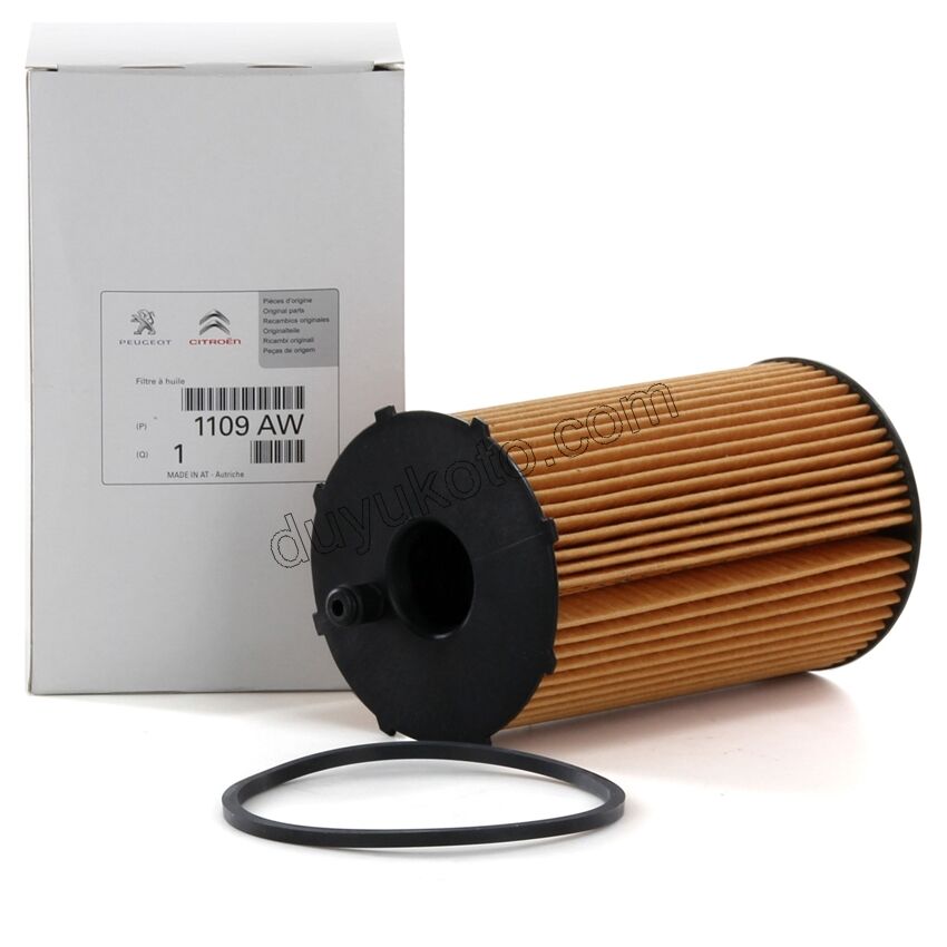 Peugeot 407 Citroen C5 Yağ Filtresi P607 DT17TED4