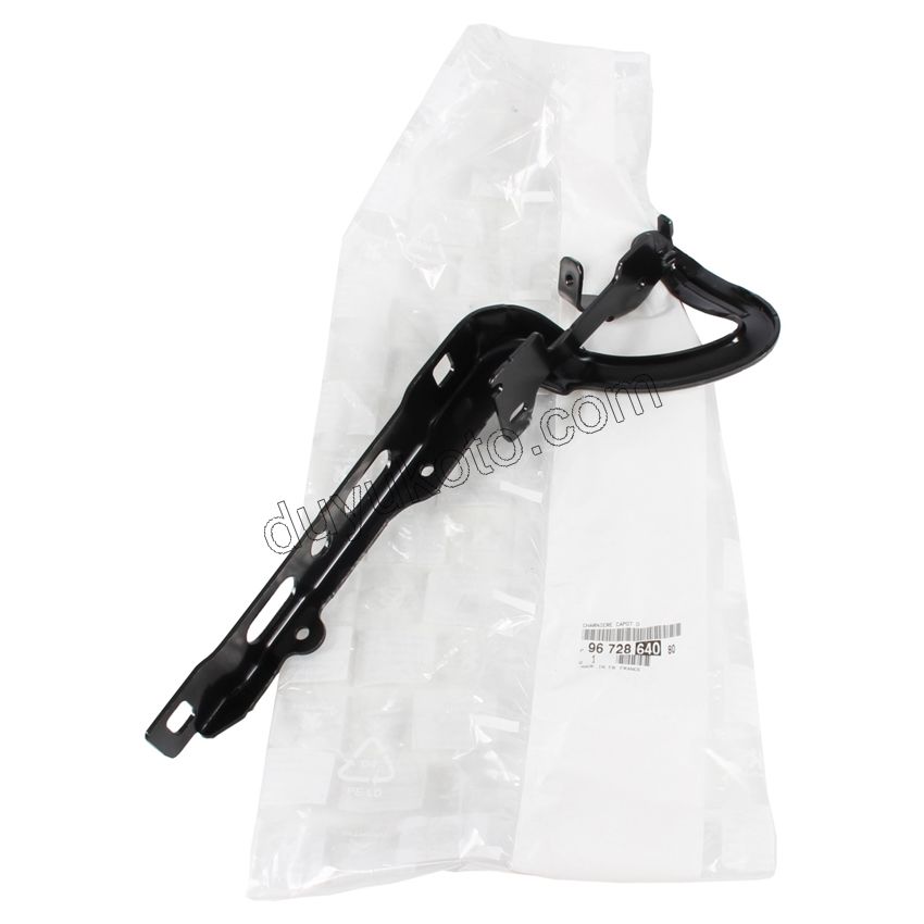 MENTESE MOTOR KAPUT R P2081