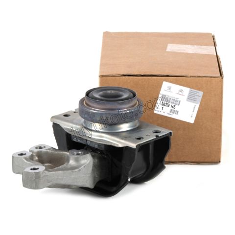 TAKOZ MOTOR R UST P308 P3008 P5008 DW10C