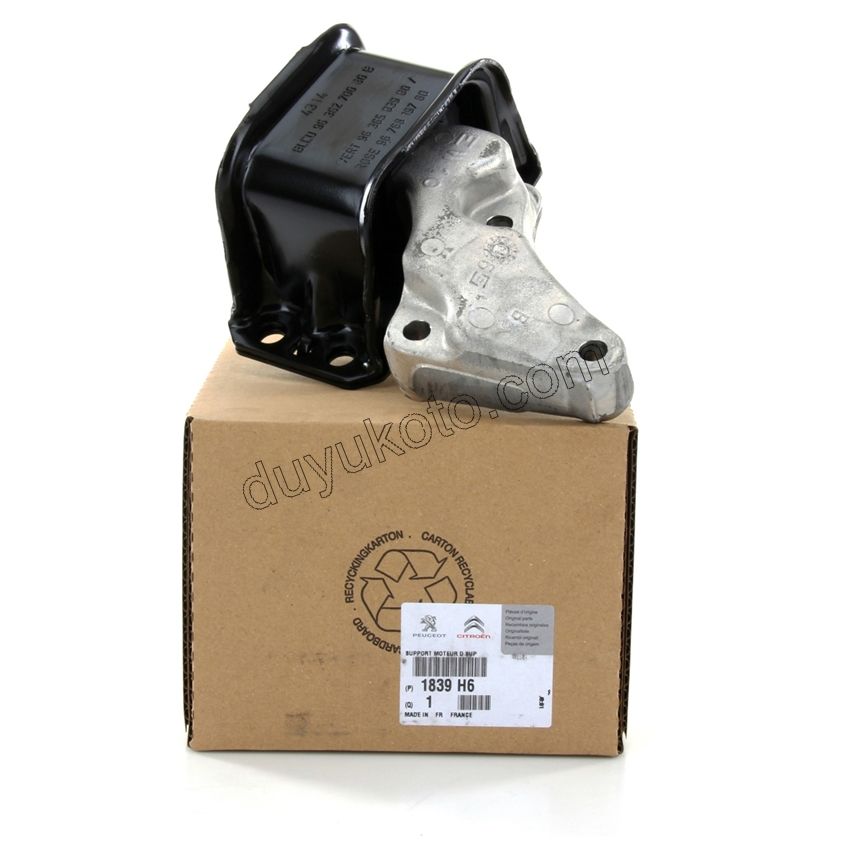 TAKOZ MOTOR R UST P307 AL4 EW10J4 MANUEL