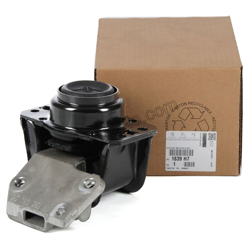 TAKOZ MOTOR R AYAKLI P307 TU5JP